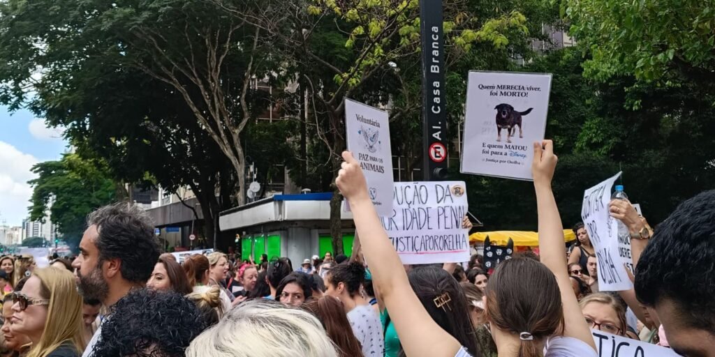 Justiça arquiva caso Cão Orelha a pedido do Ministério Público
