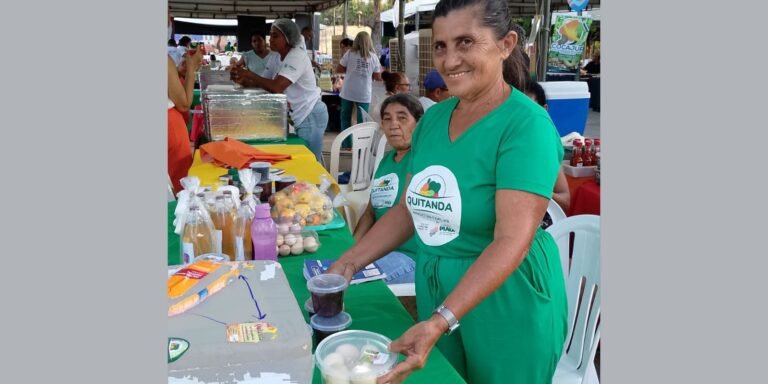 Agricultores familiares aumentam renda em 30% com programa federal 