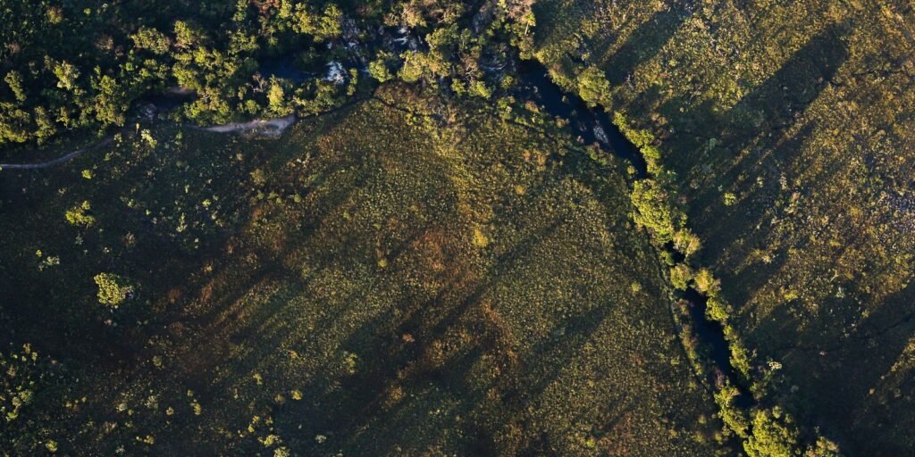 Financiamentos de projetos rurais sustentáveis terão juros mais baixos