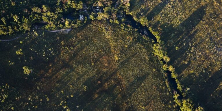 Financiamentos de projetos rurais sustentáveis terão juros mais baixos