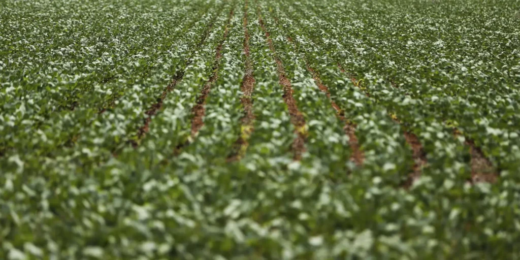 Reunião com bancada do agro termina sem acordo sobre dívidas rurais