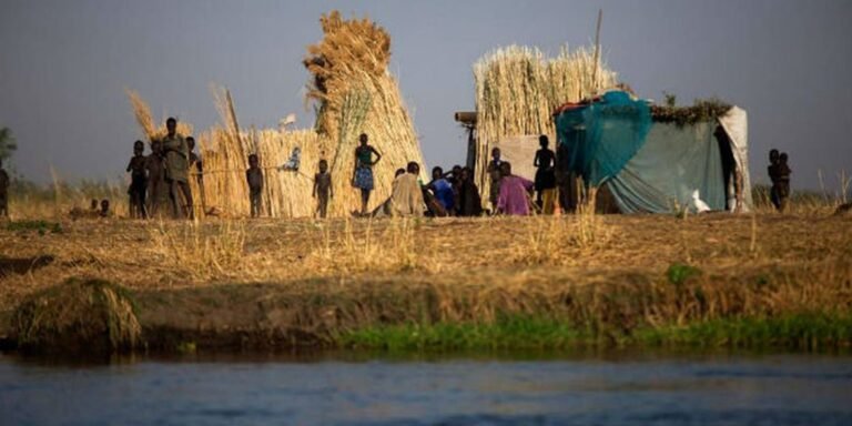 Fome mundial atinge 645 milhões de pessoas, diz relatório da ONU