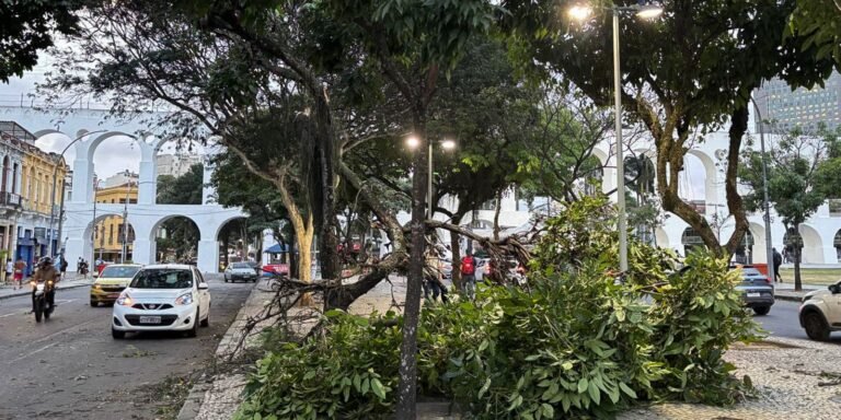 Vendaval ainda causa danos a moradores do Rio de Janeiro